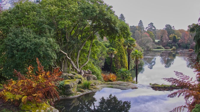 Reflections at Sheffield Park and Garden